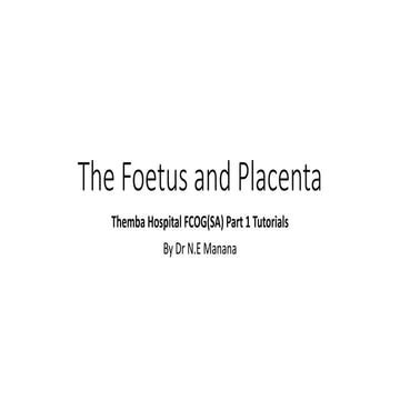 The Foetus and Placenta.pptx