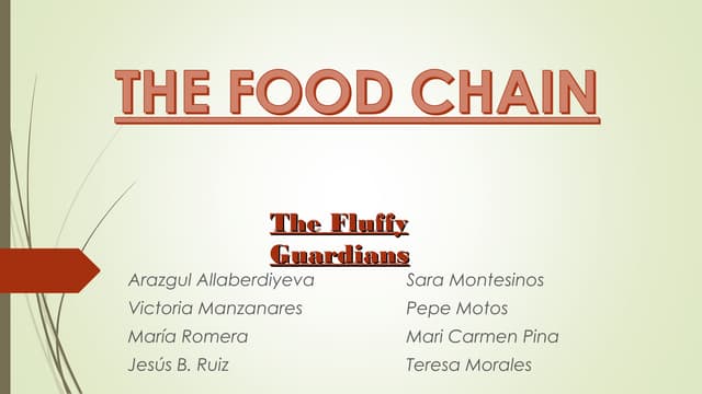 The Food Chain
