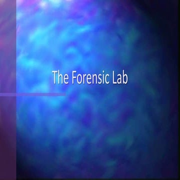 The Forensic Lab