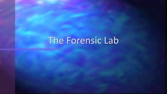 The Forensic Lab