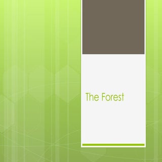 The forest