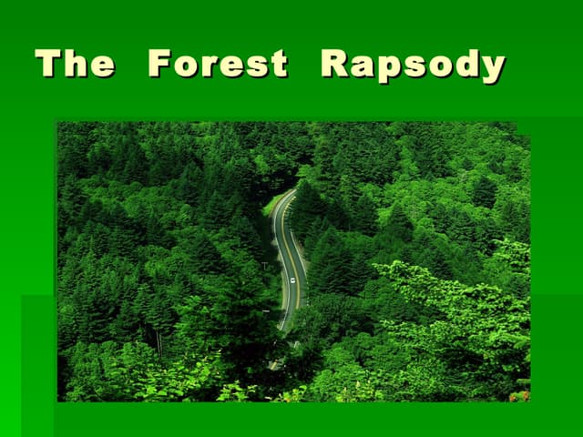 The Forest Rhapsody