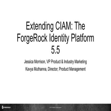 The ForgeRock Identity Platform Extends CIAM, Fall 2017 Release