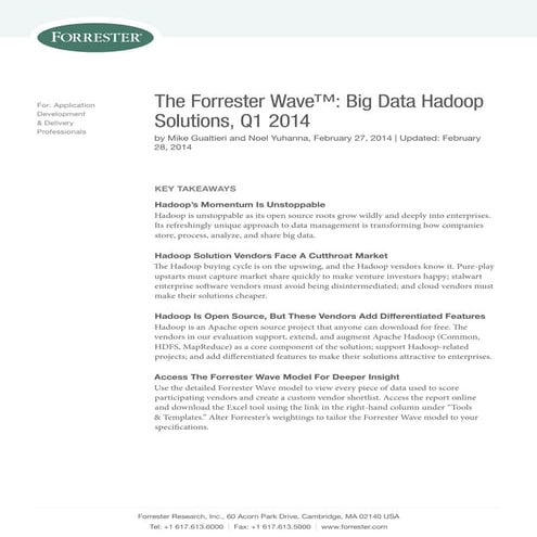 The Forrester Wave - Big Data Hadoop