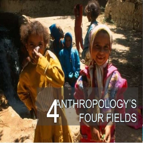The four fields of anthropology