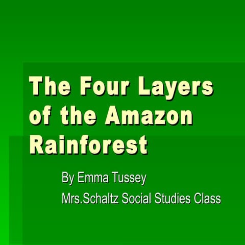 The four layers of the amazon rainforest emmas project2