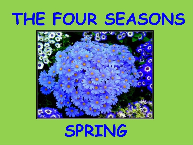 The Four Seasons Spring