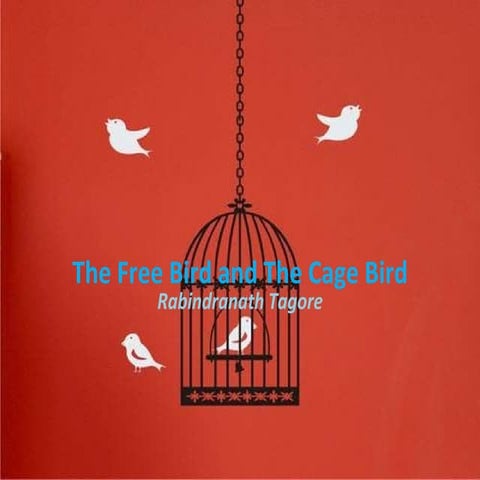 The free bird and the cage bird finale 2