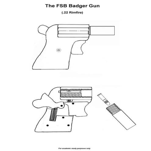 The FSB Badger Gun in .22 LR by Professor Parabellum | PDF
