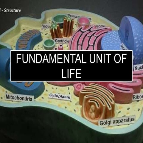 The funamentalunit of life