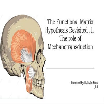 The Functional Matrix Hypothesis Revisited 1: The role of Mechanotransduction...
