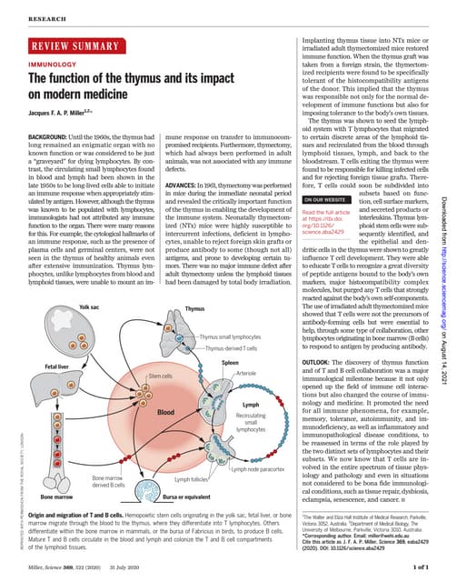 Introduction to Immunity and the Immune system | PPT