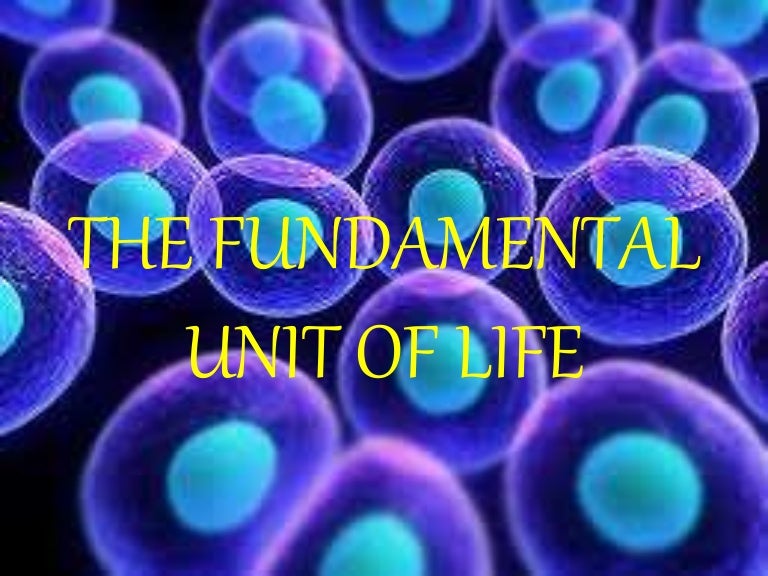 The fundamental unit of life