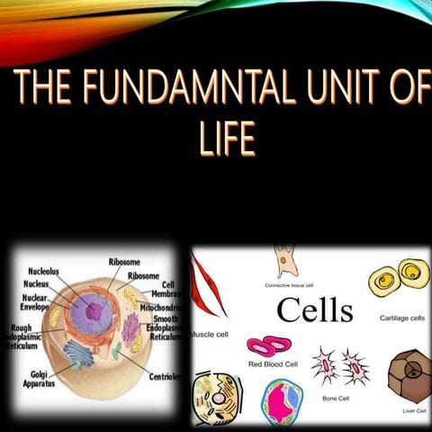The fundamental unit of life