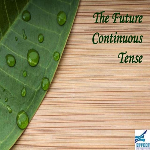 The future continuous tense