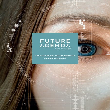 The future of digital identity   initial perspective