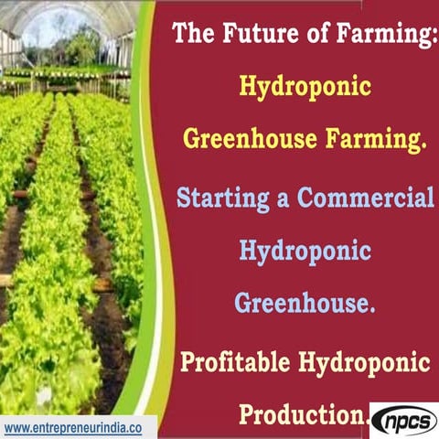 The Future of Farming: Hydroponic Greenhouse Farming. Starting a Commercial H...