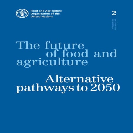Background note - Session 4 - Agriculture and Food Security | PDF