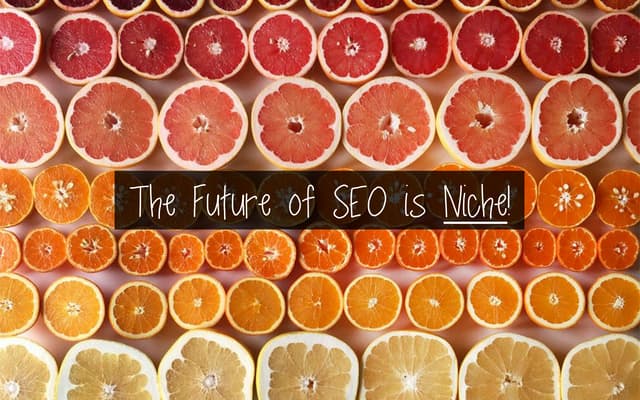 The Future of Search is Niche