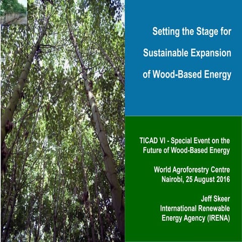 The future of wood based energy
