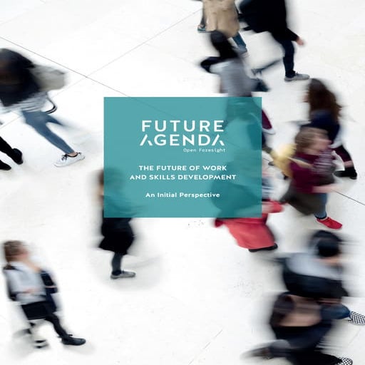 The future of work and skills development