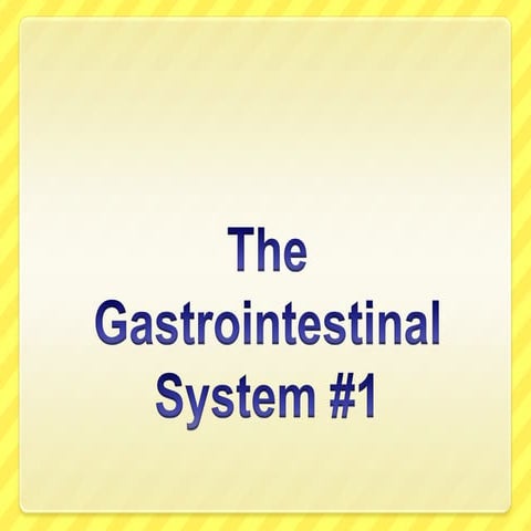 Upper Gastrointestinal Tract Anatomy Physiology Pdf