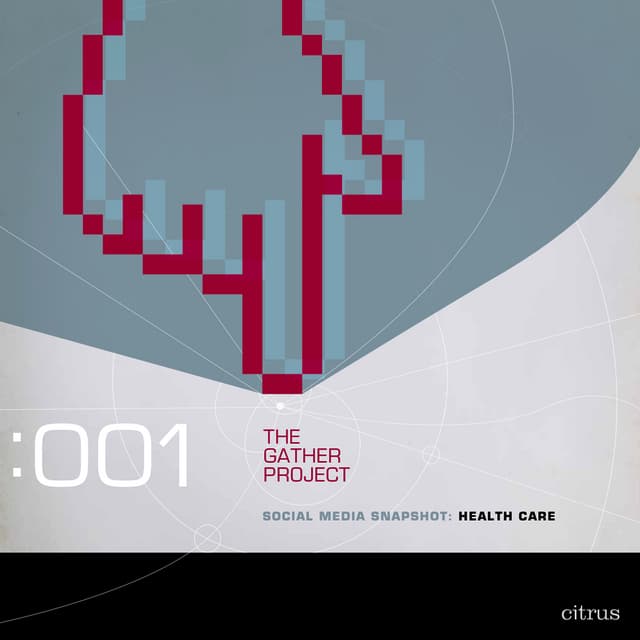 The Gather Project: A Review of Healthcare Social Media 10.10