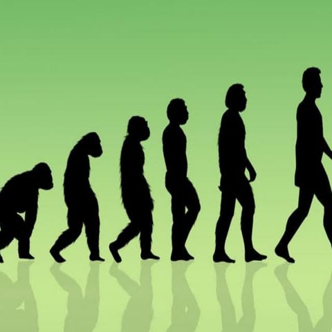 thegeologicaltimescale-130215140348-phpapp01.pdf