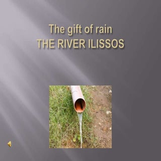 The gift of rain
