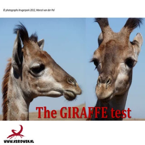 The giraffe test
