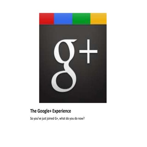The google+ experience
