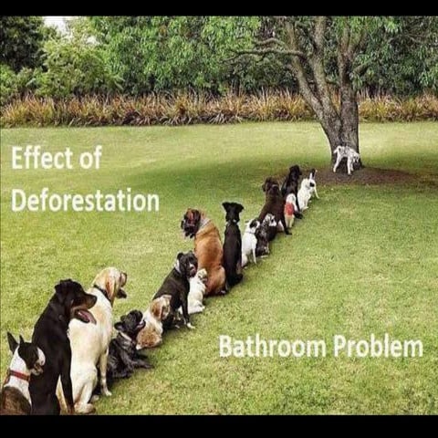 The Gospel According to Jesus - Session #10 Mark 2:18-22