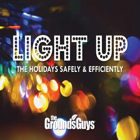 Light Up Your Holidays Safely and Efficiently | PPT