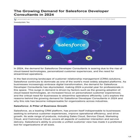 The Growing Demand for Salesforce Developer Consultants in 2024.pdf