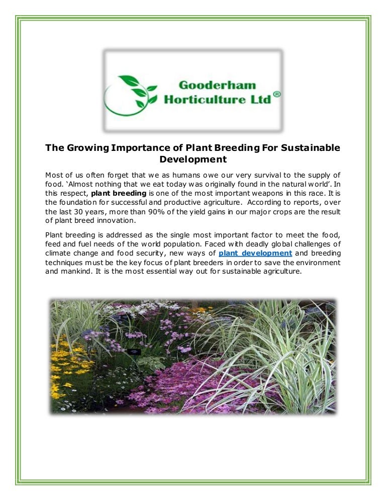 What Is The Importance Of Plant Breeding