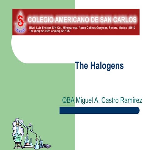 THE HALOGENS