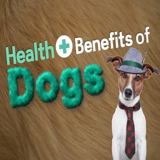 The Health Benefits of Dogs