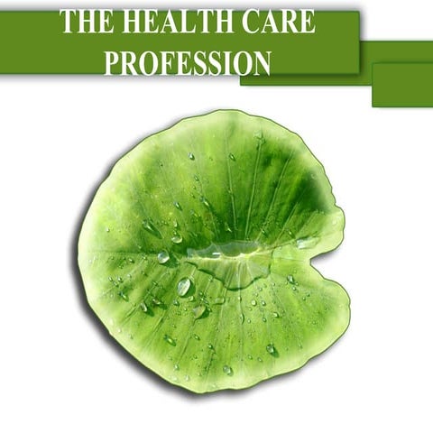 The healthcare profession