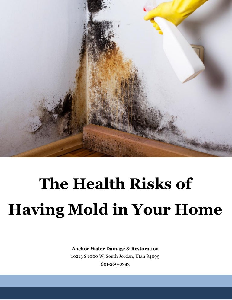 The Health Risks of Having Mold in Your Home