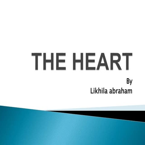 The heart