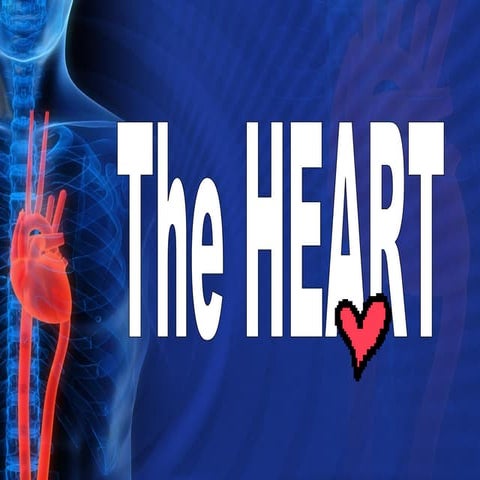 The Heart