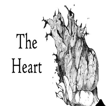 The anatomy of a detailed heart with interior featurespptx