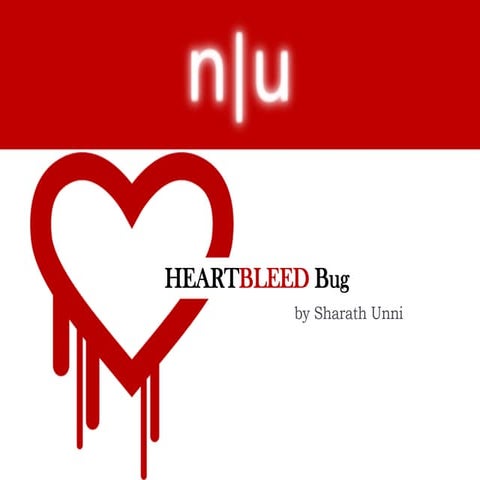 The Heartbleed Bug