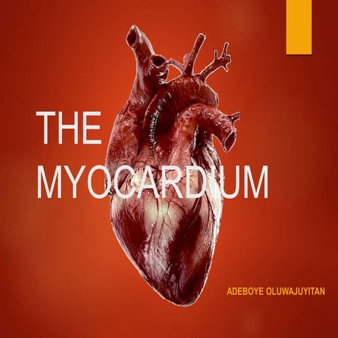 The Myocardium
