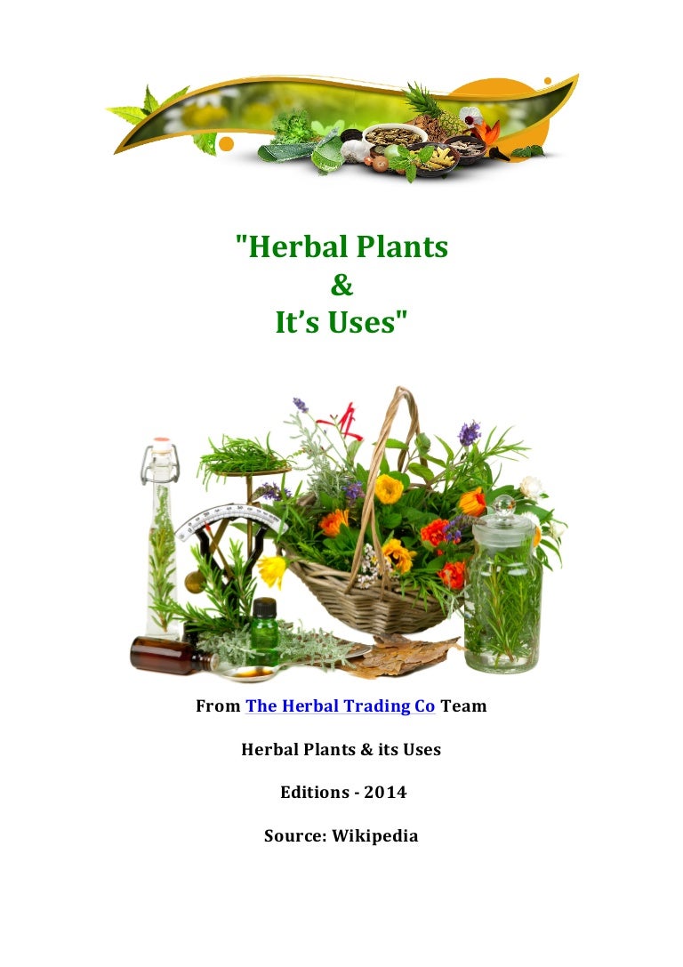 The herbal plants and its uses