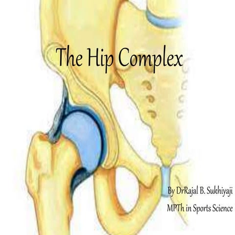 The hip complex