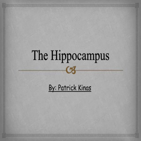 The hippocampus