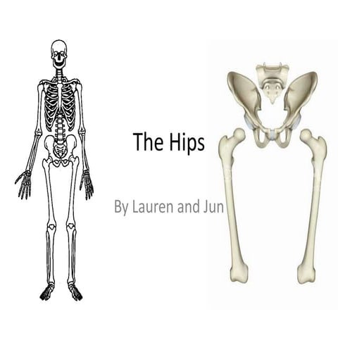 Applied Anatomy of Hip Joint | PPTX