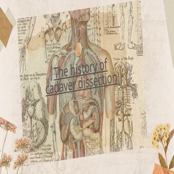 History of Anatomy during the Roman Period | PPTX