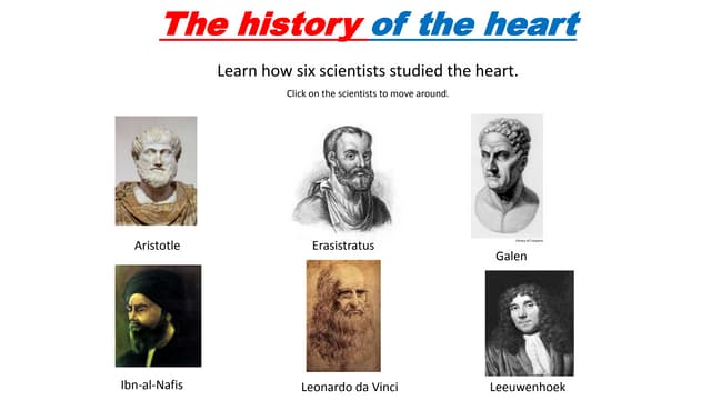 The history of the heart  PPT